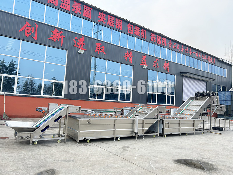 水果清洗加工成套设备
