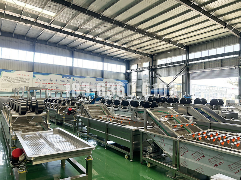 辣白菜加工线 提供工艺