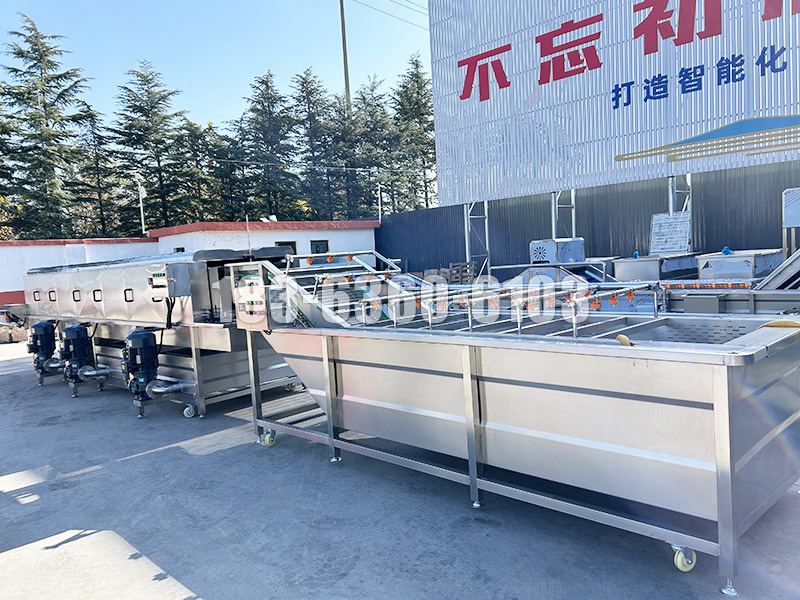 蔬菜清洗设备  按物料定做  清洗效果更好